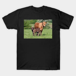 Ma, Why's He lookin' At Us? T-Shirt